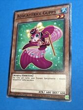 Acquattrice guppy carta usato  Bari