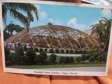 Tampa florida busch for sale  Springfield