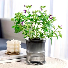 Automatic self watering usato  Roma