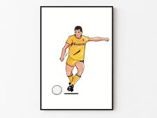 Steve bull minute for sale  WALSALL