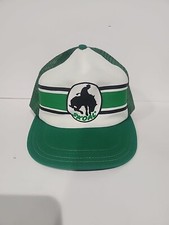 Rare vintage striped for sale  Silverwood