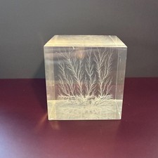 Lichtenberg lightning cube for sale  Chandler
