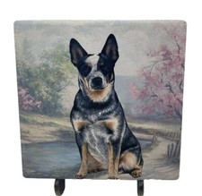 Australian cattle dog for sale  Marlton