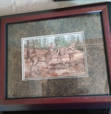 Signed numbered wildlife for sale  Bradenton