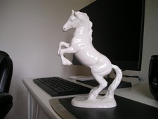 Beswick welsh cob for sale  WARRINGTON