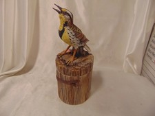 Large meadowlark bird for sale  Highland