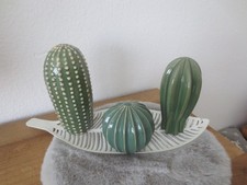 Kaktus stück grün gebraucht kaufen  Mülheim an der Ruhr