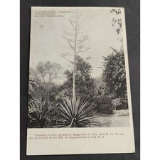 Cartolina pianta del usato  Alessandria