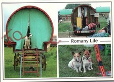 Picture postcard romany for sale  NEWCASTLE UPON TYNE