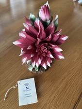 Capodimonte porcelain dahlia for sale  SHOREHAM-BY-SEA