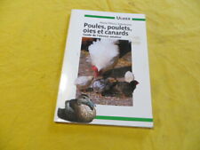 Poules poulets oies d'occasion  Saint-Laurent-de-la-Cabrerisse