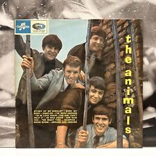 The animals same usato  Napoli