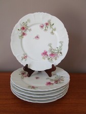 Limoges porcelain flat d'occasion  Expédié en Belgium