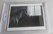 1973 horse racing for sale  Salado