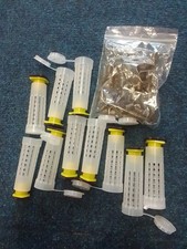 10pc queen rearing for sale  FALKIRK
