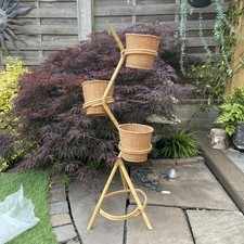 Bamboo pot plant for sale  LIVERPOOL