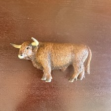 Scottish highland bull for sale  Olympia