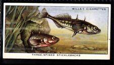 Wills pond aquarium for sale  HUNTINGDON