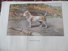 Gravures chien chasse d'occasion  Combs-la-Ville