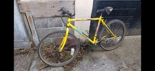 saracen raw bike for sale  YELVERTON