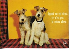 "Two dogs. Qudns on est deux.." Modern French   photo postcard 1970s comprar usado  Enviando para Brazil