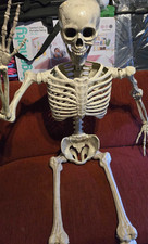 Halloween menschliches skelett gebraucht kaufen Halloween menschliches skelett gebraucht kaufen  Rüdersdorf