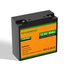 Eco worthy 12v gebraucht kaufen  Hamburg