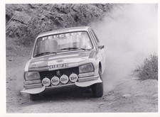 Usado, PEUGEOT 504 SEDÃ, EM AÇÃO NO RALI MARROQUINO "75", FOTOGRAFIA. comprar usado  Enviando para Brazil