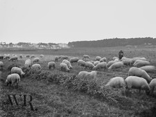 1910 sables olonne d'occasion  Luçon