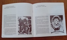 Seravezza stazzema artigianato usato  Lucca