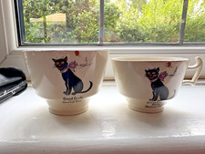 Arcadian black cat for sale  STOCKPORT