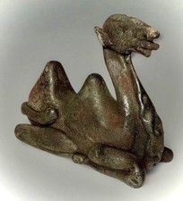 bactrian camel for sale  Aberdeen