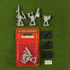 Warhammer chaos plaguebearers for sale  USA