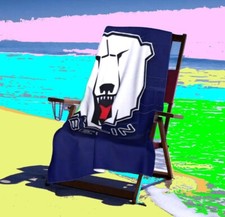 Eisbären berlin strandtuch gebraucht kaufen  Zerbst/Anhalt