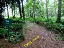 Photo 12x8 dog for sale  FAVERSHAM