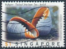 Marine snails singapore for sale  BRISTOL