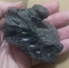 Black fulgurite rare for sale  Saco