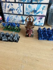 Lizardmen seraphome army for sale  TAUNTON