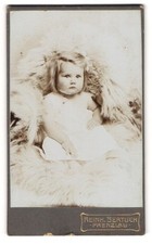 Fotografie reinh bertuch gebraucht kaufen  Berlin