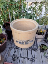 Antique bishop peanut for sale  Post Falls