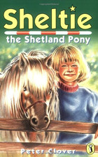 Sheltie sheltie shetland for sale  ROSSENDALE