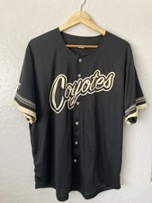 Arizona phoenix coyotes for sale  Tolleson