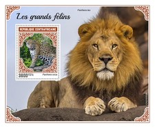 Usado, Gatos grandes comprar usado Usado, Gatos grandes comprar usado  Enviando para Brazil