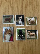 Lot topps crufts for sale  BISHOP AUCKLAND