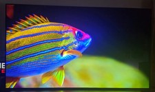 Oled ultrasottile 2025 usato  Bologna