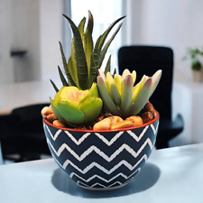 Faux succulent simulated for sale  Tempe