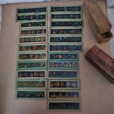 Vintage slides old for sale  WOLVERHAMPTON