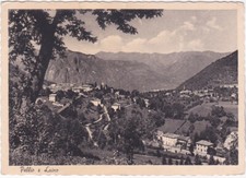 Pellio laino como usato  Isola Vicentina