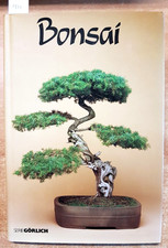 Bonsai christine stewart usato  Italia