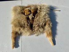 Vintage trappers coyote for sale  Andover